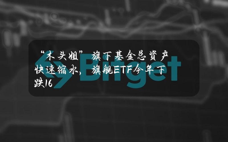 “木头姐”旗下基金总资产快速缩水，旗舰ETF今年下跌16%