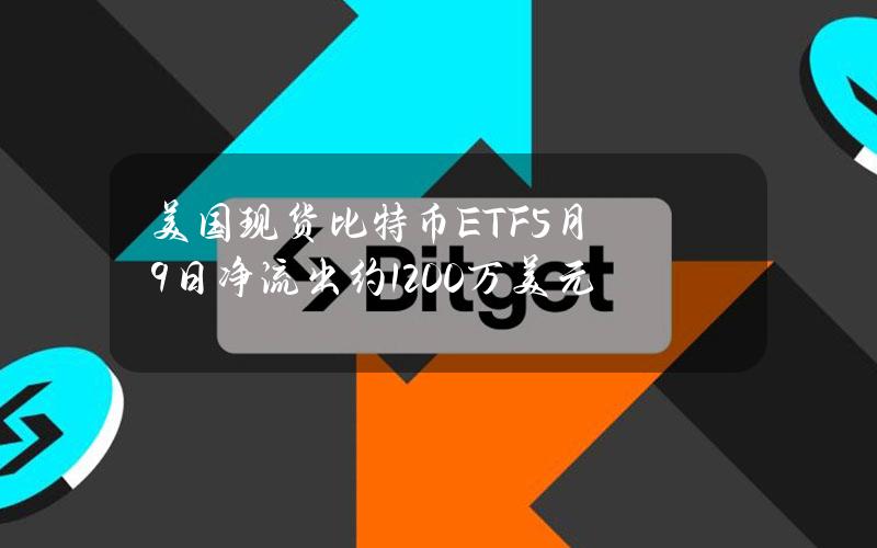 美国现货比特币ETF5月9日净流出约1200万美元