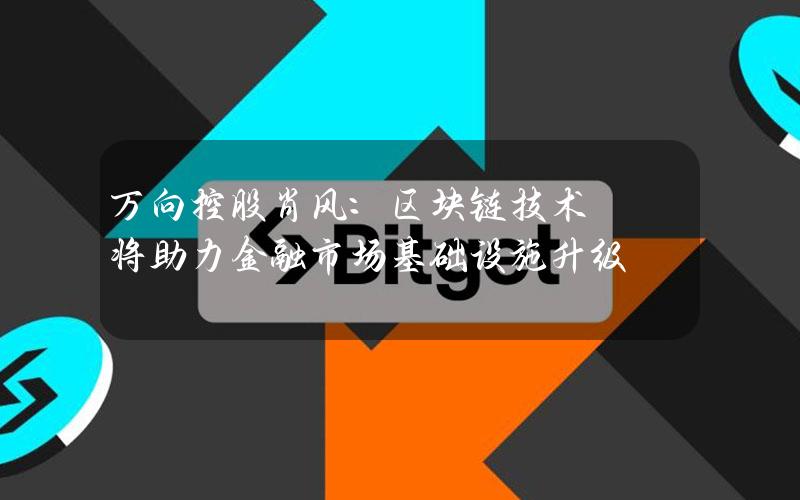 万向控股肖风：区块链技术将助力金融市场基础设施升级