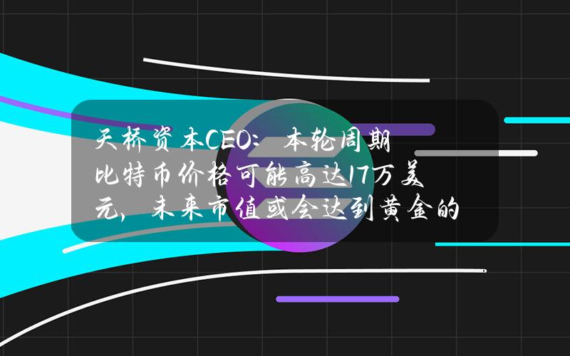 天桥资本CEO：本轮周期比特币价格可能高达17万美元，未来市值或会达到黄金的一半