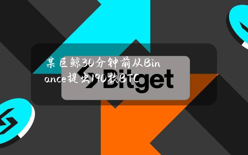 某巨鲸30分钟前从Binance提出190枚BTC