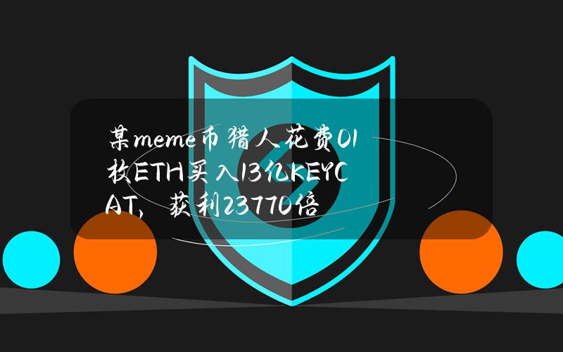 某meme币猎人花费0.1枚ETH买入13亿KEYCAT，获利23770倍