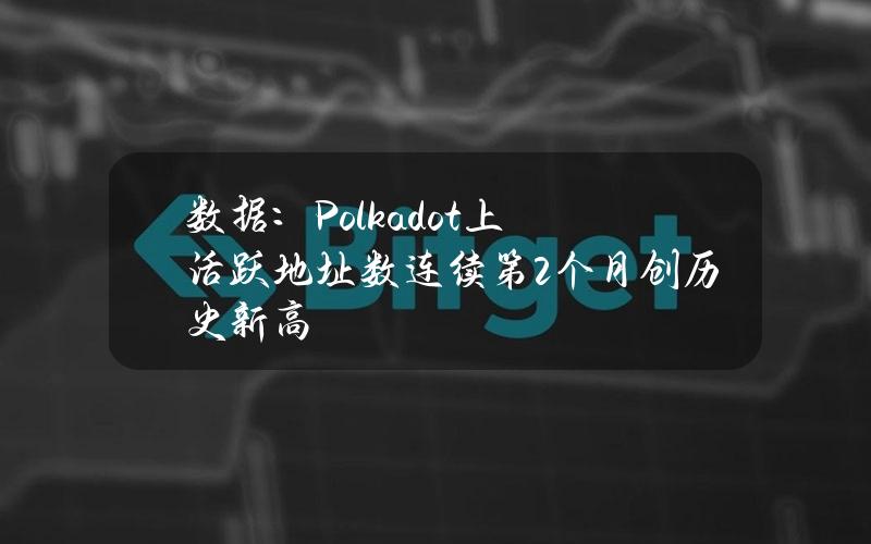 数据：Polkadot上活跃地址数连续第2个月创历史新高