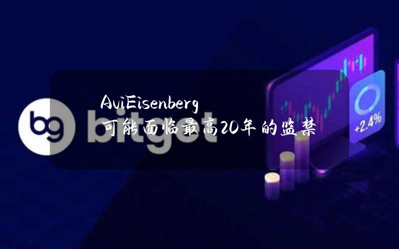 AviEisenberg可能面临最高20年的监禁