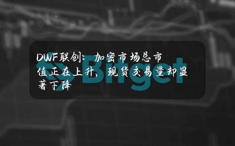 DWF联创：加密市场总市值正在上升，现货交易量却显著下降