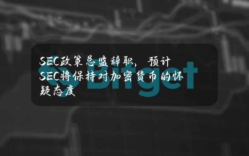 SEC政策总监辞职，预计SEC将保持对加密货币的怀疑态度