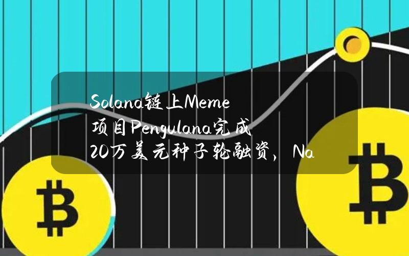 Solana链上Meme项目Pengulana完成20万美元种子轮融资，NanosproutVentures领投