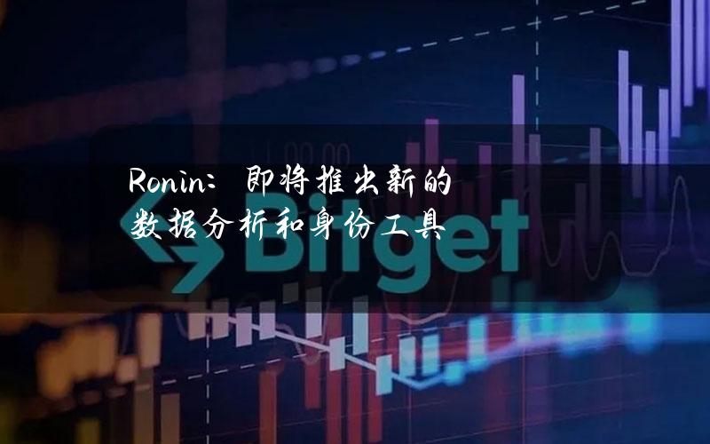 Ronin：即将推出新的数据分析和身份工具