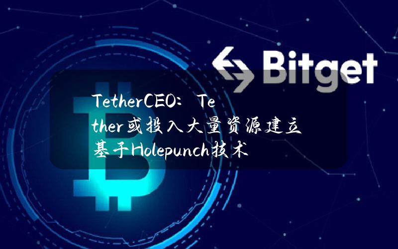 TetherCEO：Tether或投入大量资源建立基于Holepunch技术的P2P金融市场终端