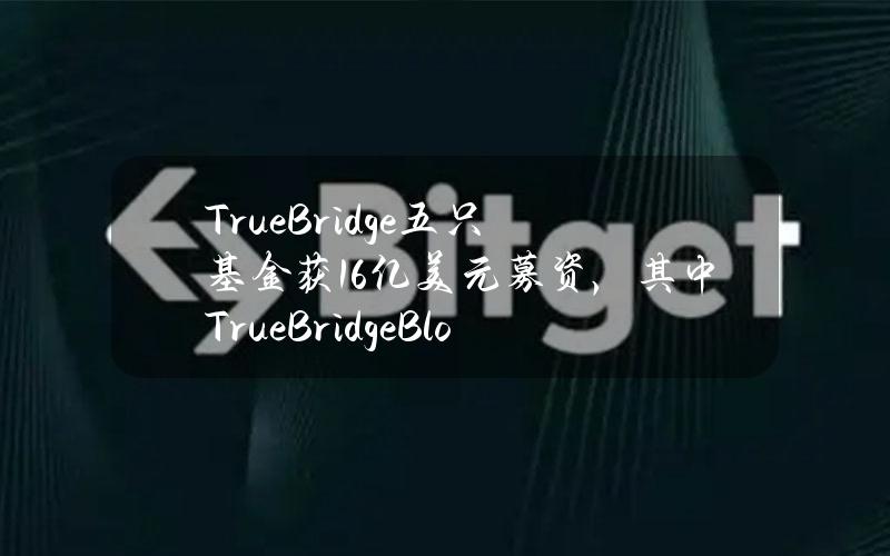 TrueBridge五只基金获16亿美元募资，其中TrueBridgeBlockchainI融资6200万美元