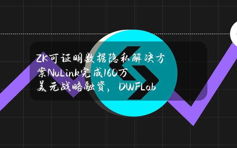 ZK可证明数据隐私解决方案NuLink完成160万美元战略融资，DWFLabs等领投